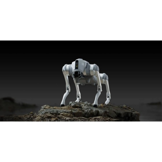 Unitree Go2 : New Creature of Embodied AI