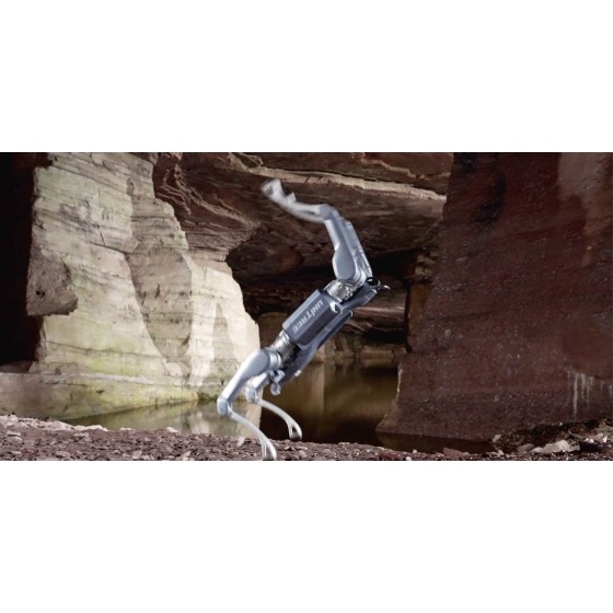 Unitree A2 : Stellar Explorer